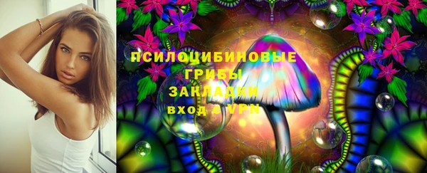 тгк Медвежьегорск