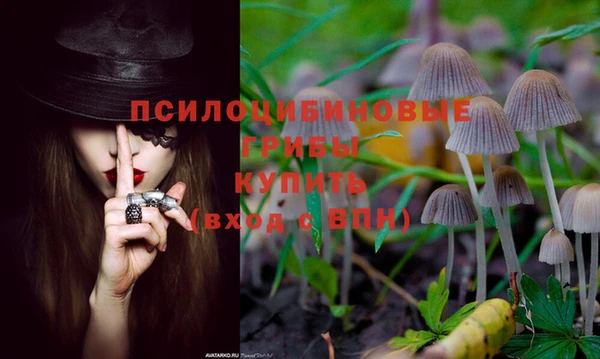 тгк Медвежьегорск