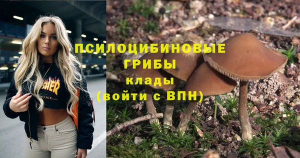 гашик Абинск