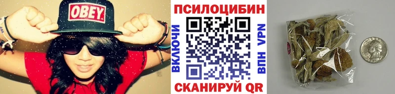 Галлюциногенные грибы Cubensis  Прокопьевск 