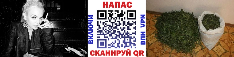 Бошки марихуана Bruce Banner  Прокопьевск 